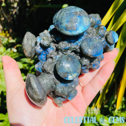 Labradorite Mushroom Troop Large Carving