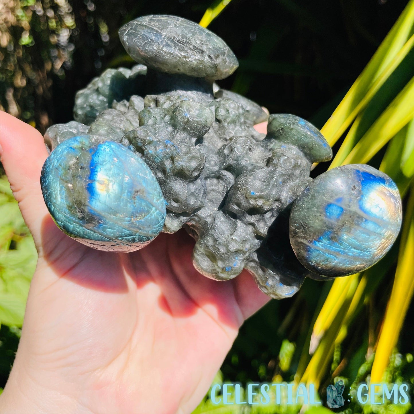 Labradorite Mushroom Troop Large Carving