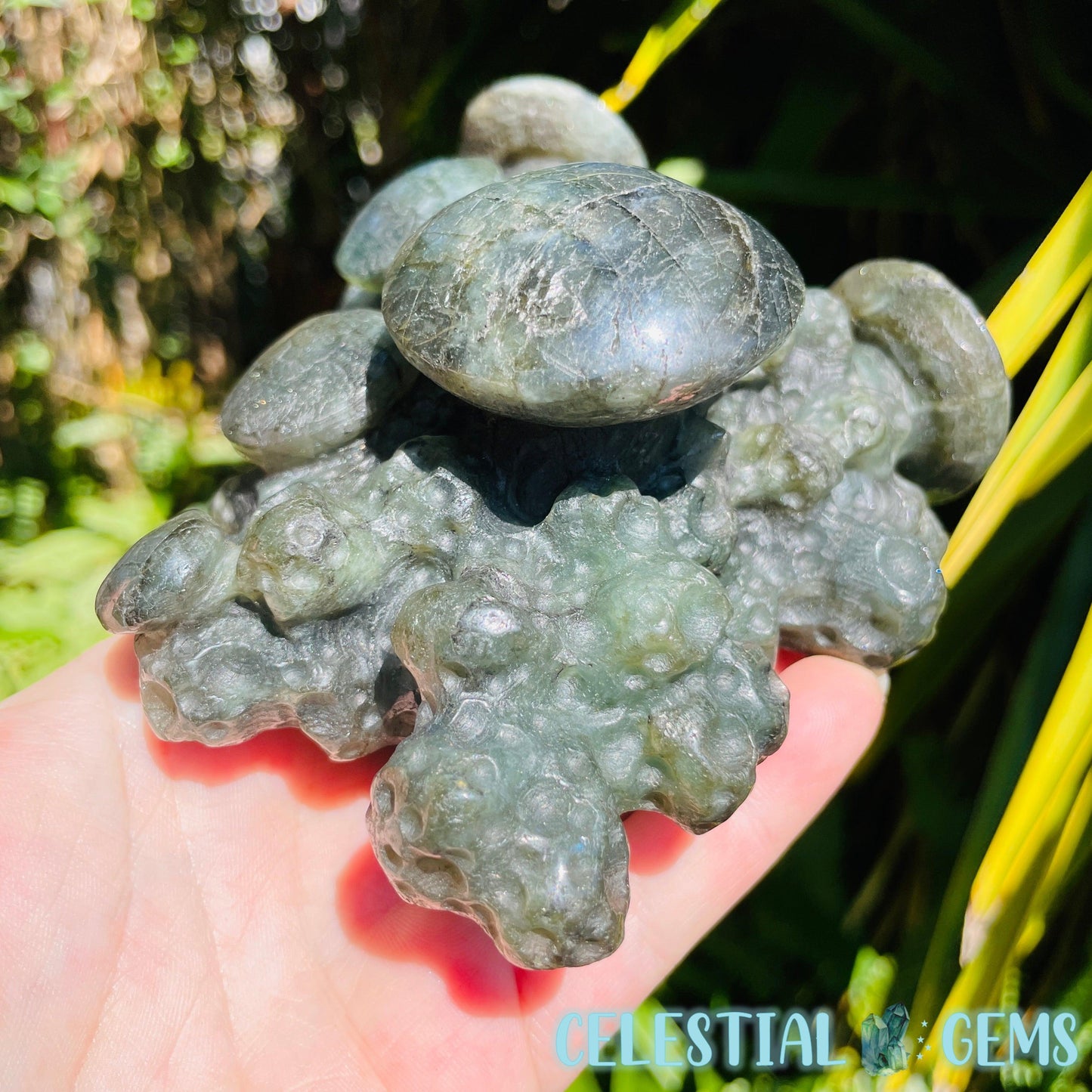 Labradorite Mushroom Troop Large Carving