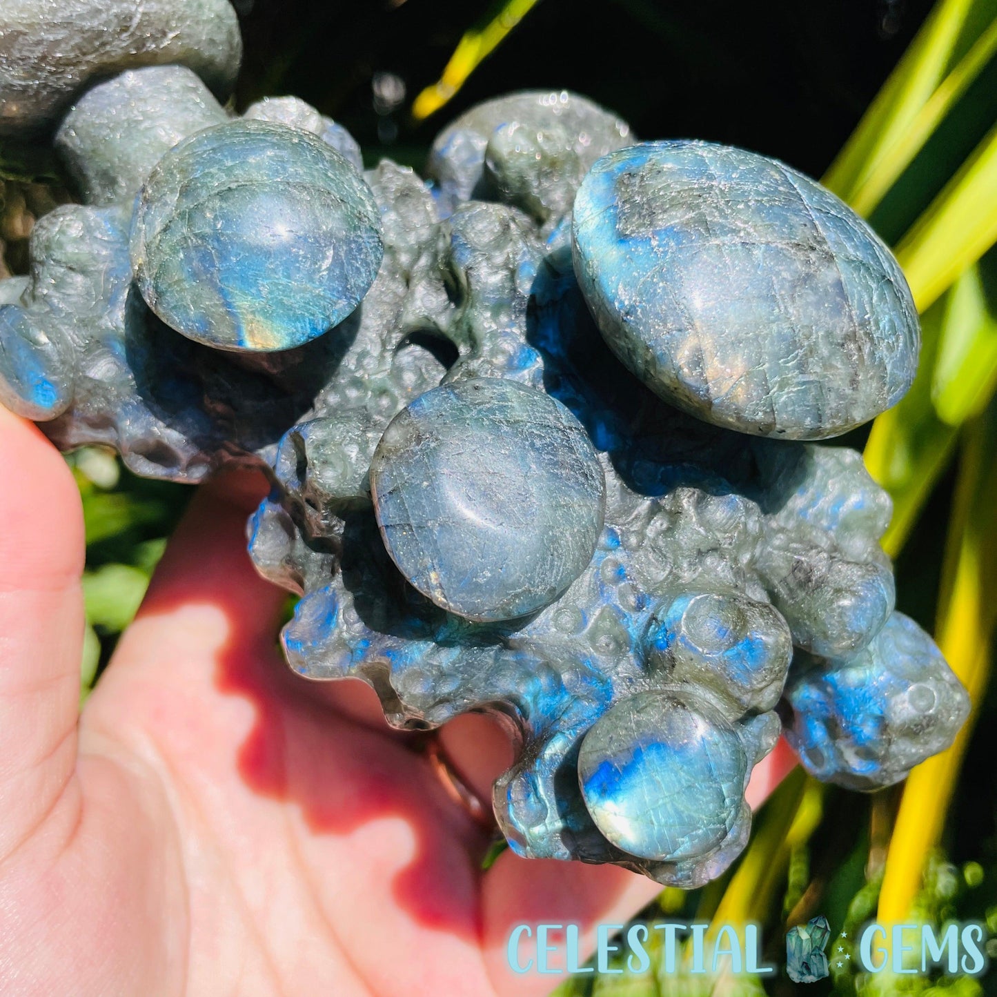Labradorite Mushroom Troop Large Carving