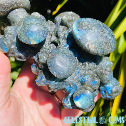 Labradorite Mushroom Troop Large Carving