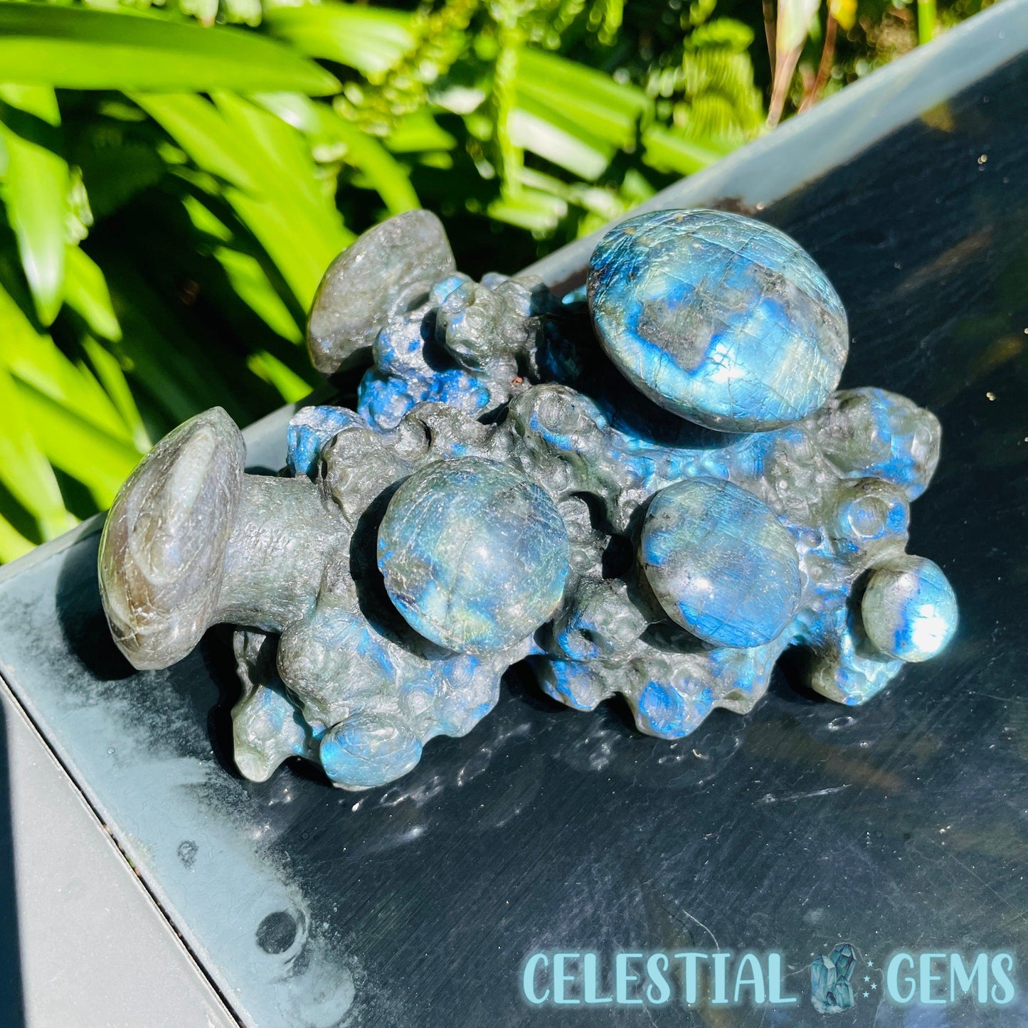 Labradorite Mushroom Troop Large Carving