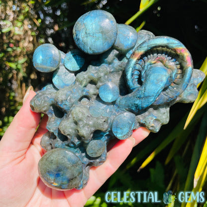 Labradorite Mushroom Troop Large Carving