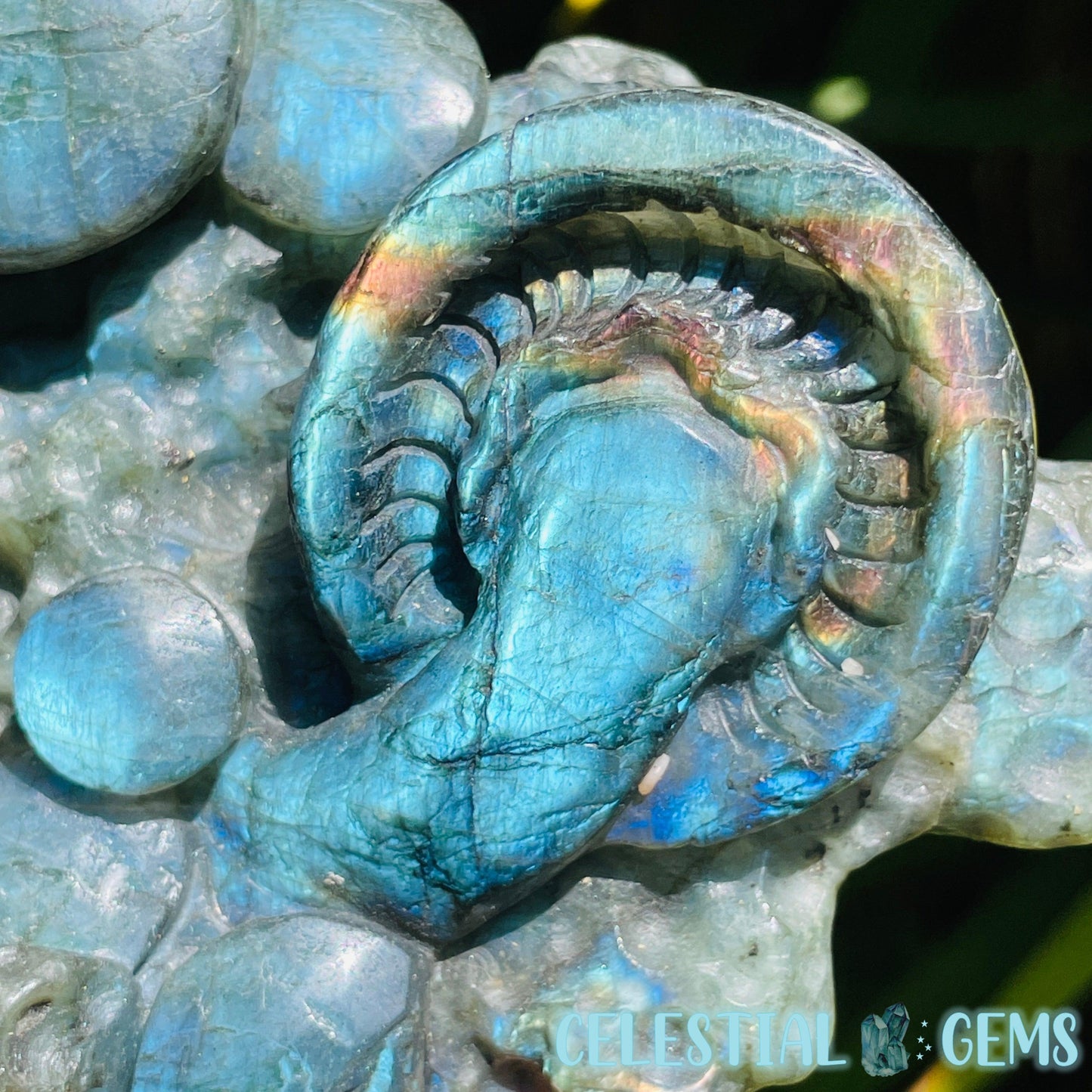 Labradorite Mushroom Troop Large Carving