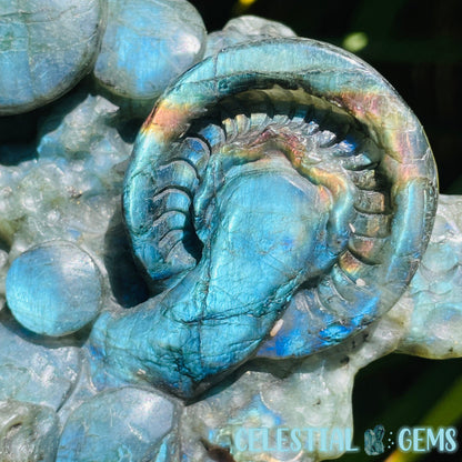 Labradorite Mushroom Troop Large Carving