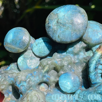 Labradorite Mushroom Troop Large Carving