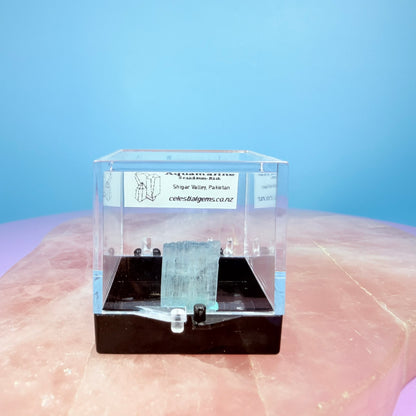Aquamarine (Scandium-Rich) Crystal Specimen in Box