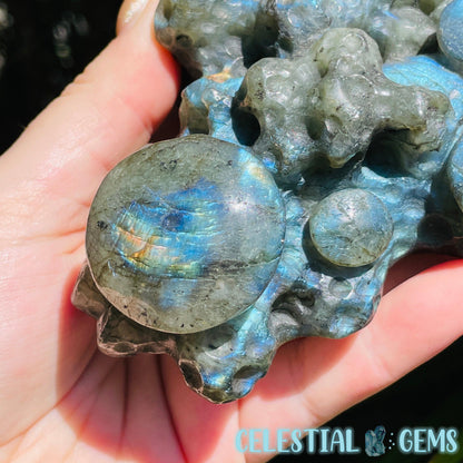 Labradorite Mushroom Troop Large Carving