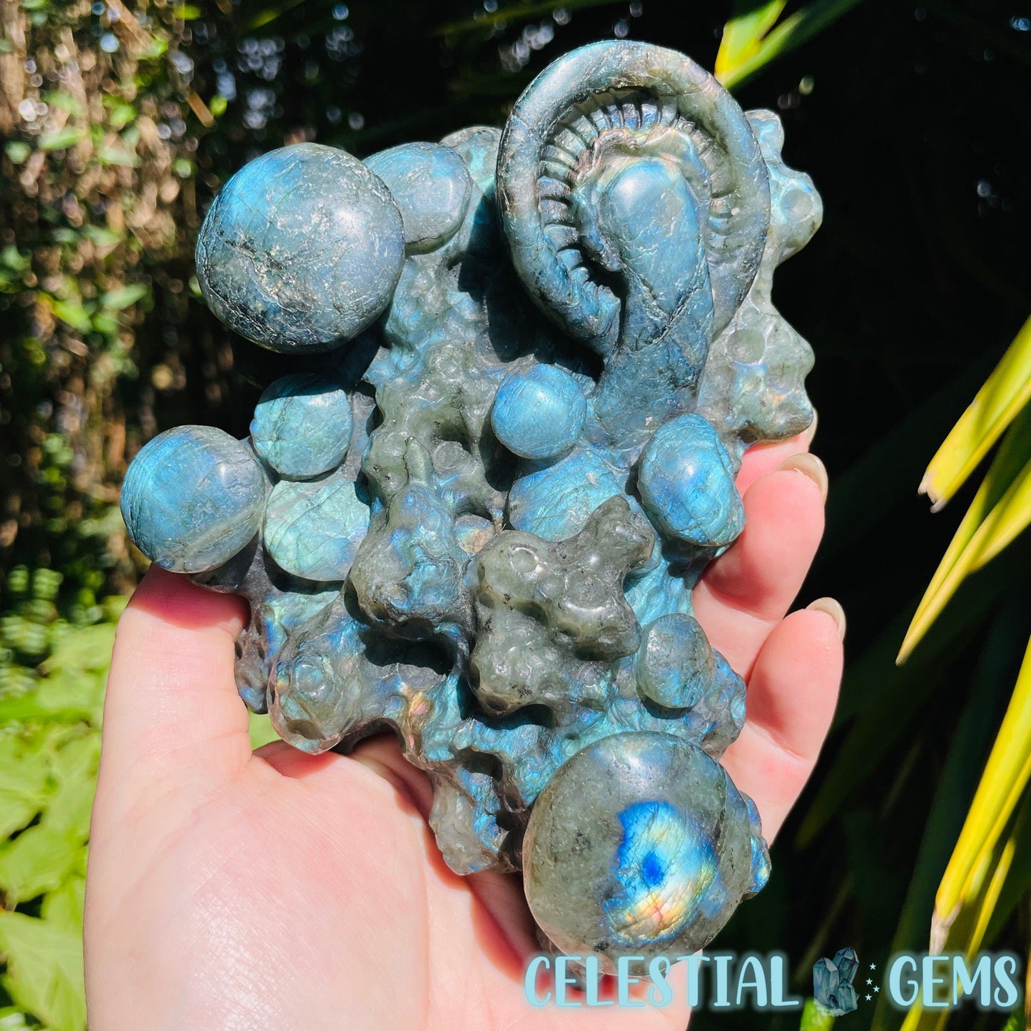 Labradorite Mushroom Troop Large Carving