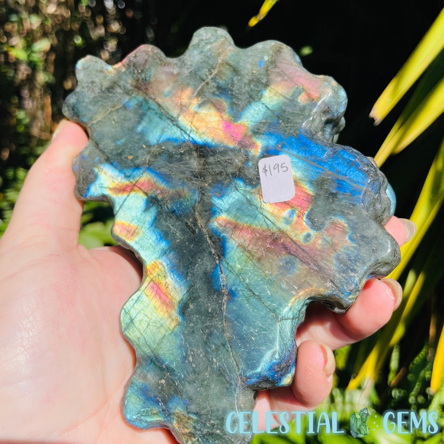 Labradorite Mushroom Troop Large Carving