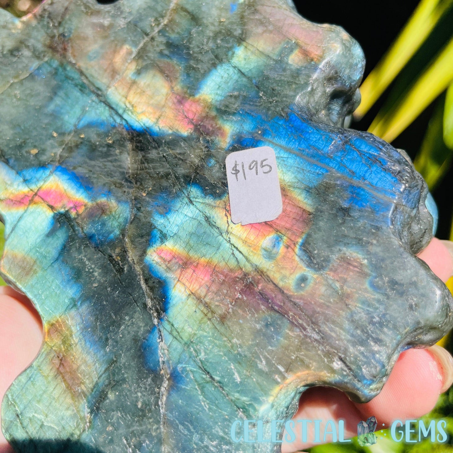 Labradorite Mushroom Troop Large Carving