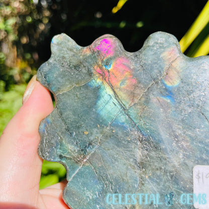 Labradorite Mushroom Troop Large Carving