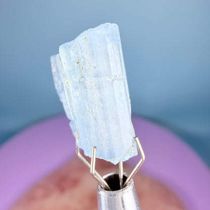 Aquamarine (Scandium-Rich) Crystal Specimen in Box
