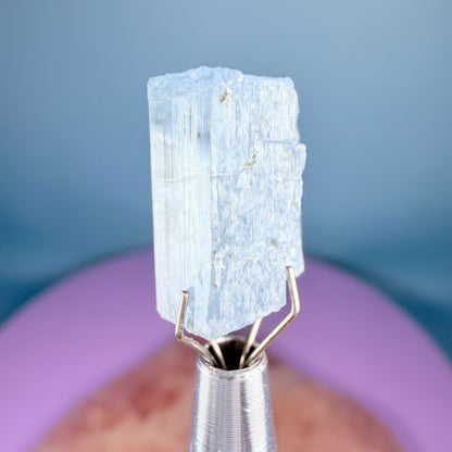 Aquamarine (Scandium-Rich) Crystal Specimen in Box