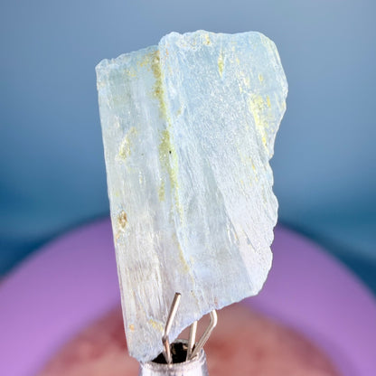 Aquamarine (Scandium-Rich) Crystal Specimen in Box