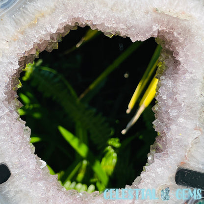 Amethyst Cluster Geode Large Slice on Stand