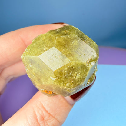 Grandite (Grossular-Andradite) Garnet Crystal Specimen