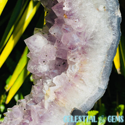 Amethyst Cluster Geode XL Slice on Stand