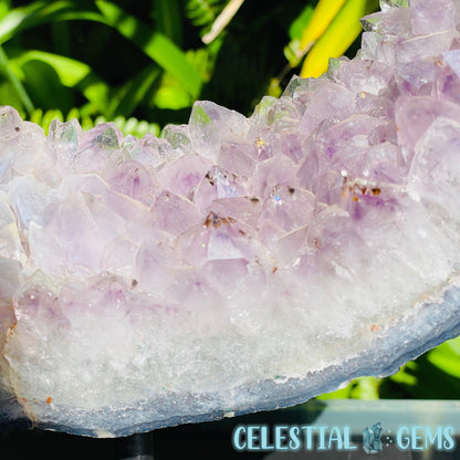 Amethyst Cluster Geode XL Slice on Stand