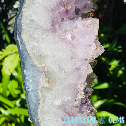 Amethyst Cluster Geode XL Slice on Stand