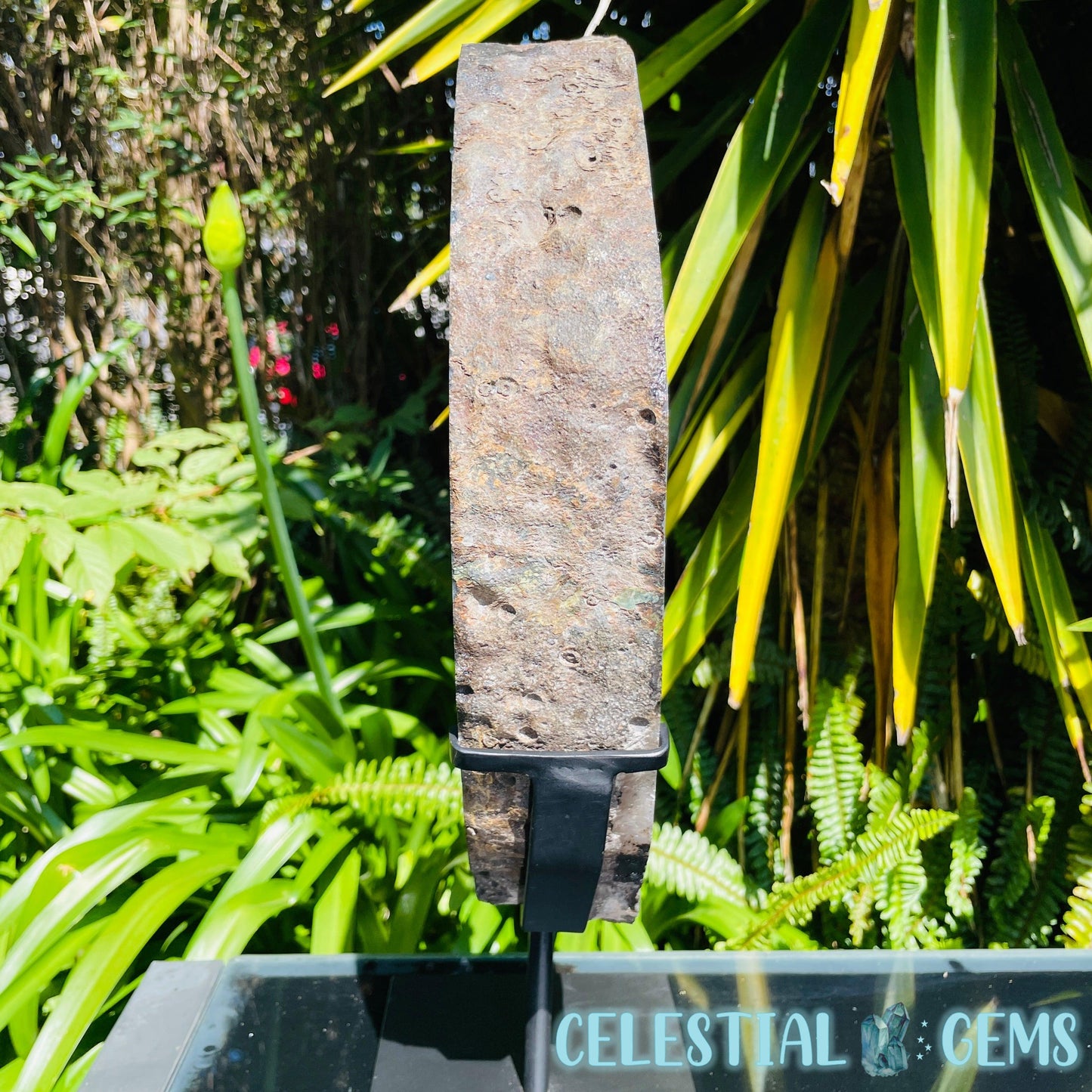 Amethyst Cluster Geode XL Slice on Stand