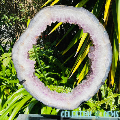 Amethyst Cluster Geode XL Slice on Stand