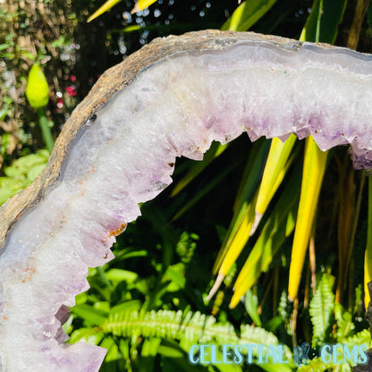 Amethyst Cluster Geode XL Slice on Stand