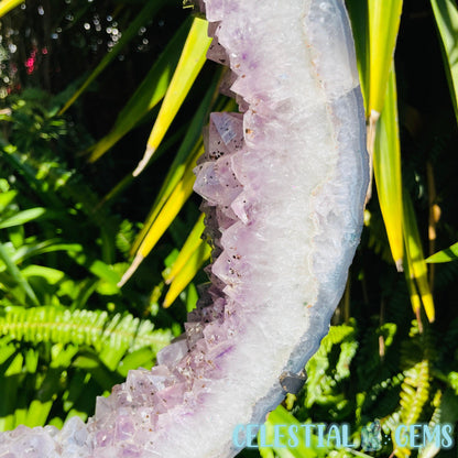 Amethyst Cluster Geode XL Slice on Stand