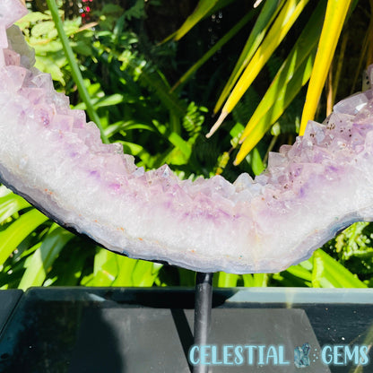 Amethyst Cluster Geode XL Slice on Stand