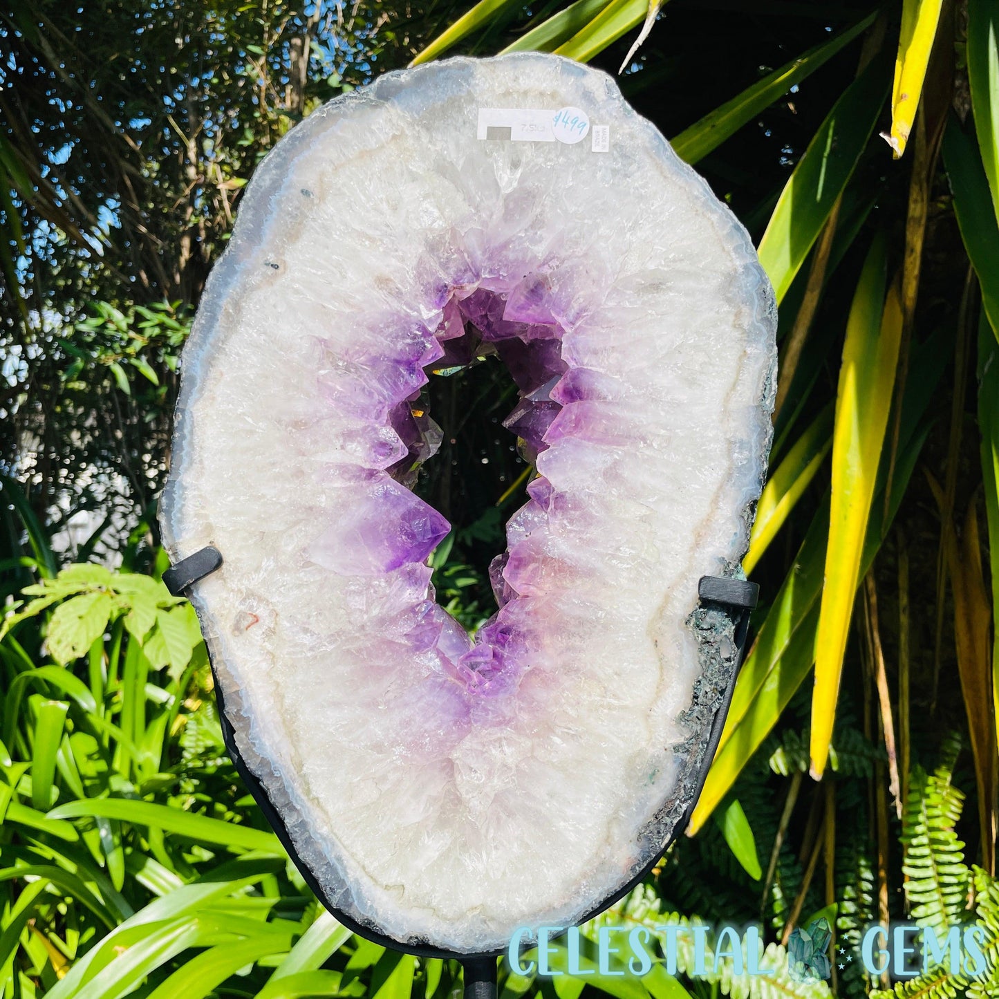 Amethyst Cluster Geode XL Slice on Stand
