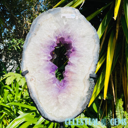 Amethyst Cluster Geode XL Slice on Stand