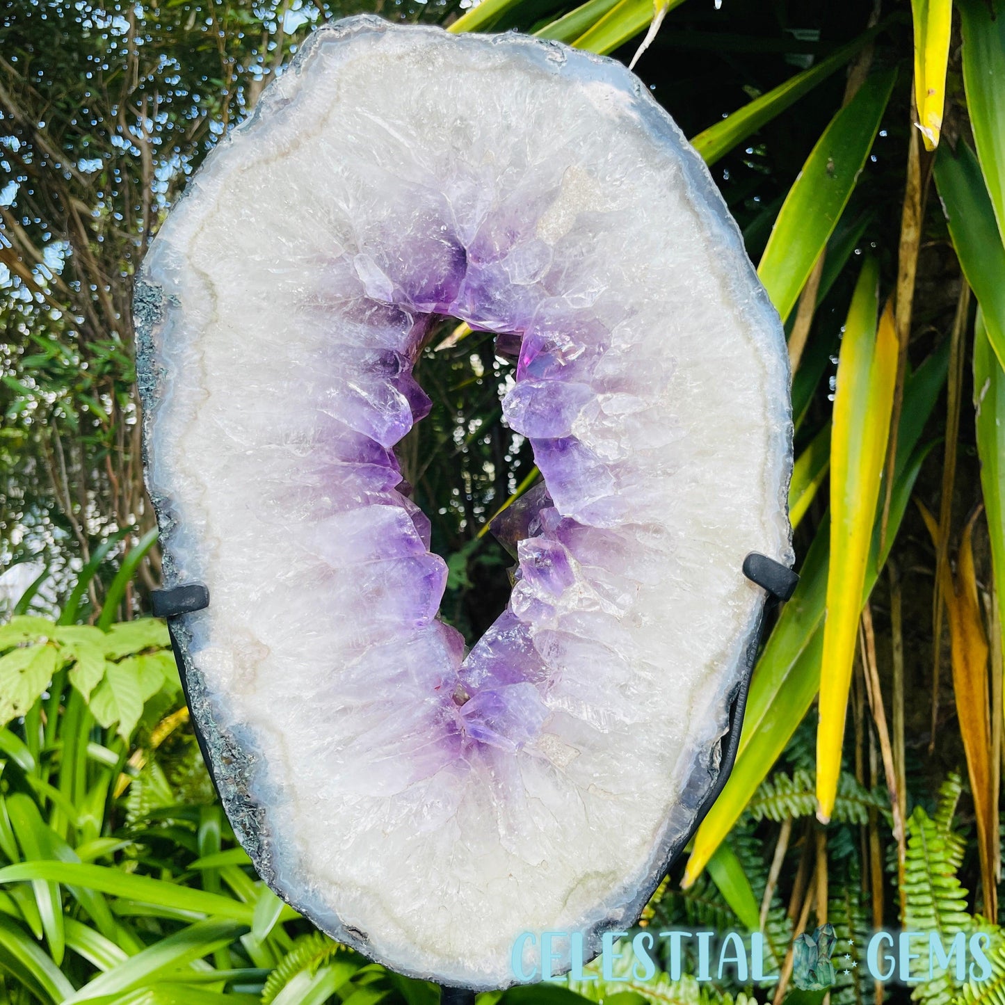 Amethyst Cluster Geode XL Slice on Stand