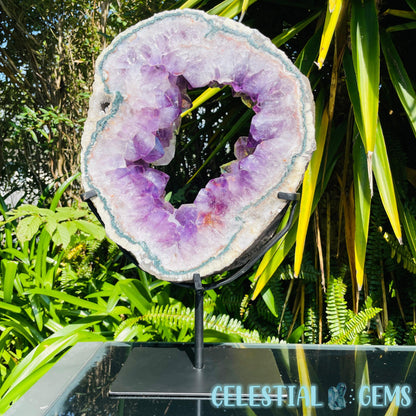 Amethyst Cluster Geode XL Slice on Stand