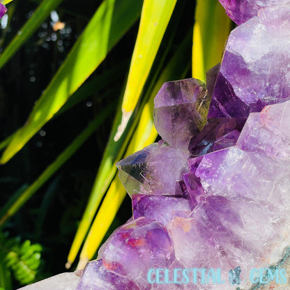 Amethyst Cluster Geode XL Slice on Stand