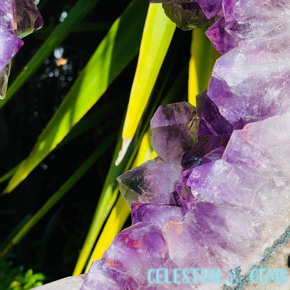 Amethyst Cluster Geode XL Slice on Stand