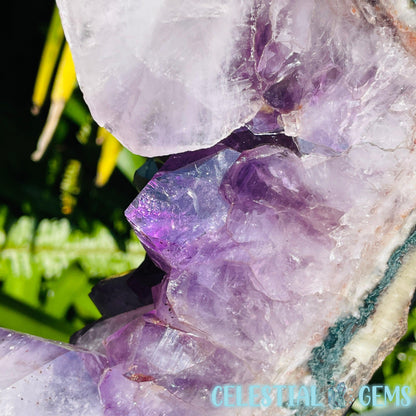 Amethyst Cluster Geode XL Slice on Stand