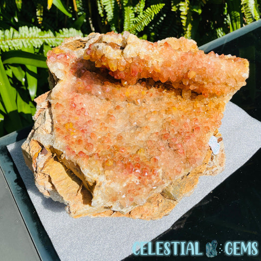 Tangerine 'Sunset' Quartz XL Cluster