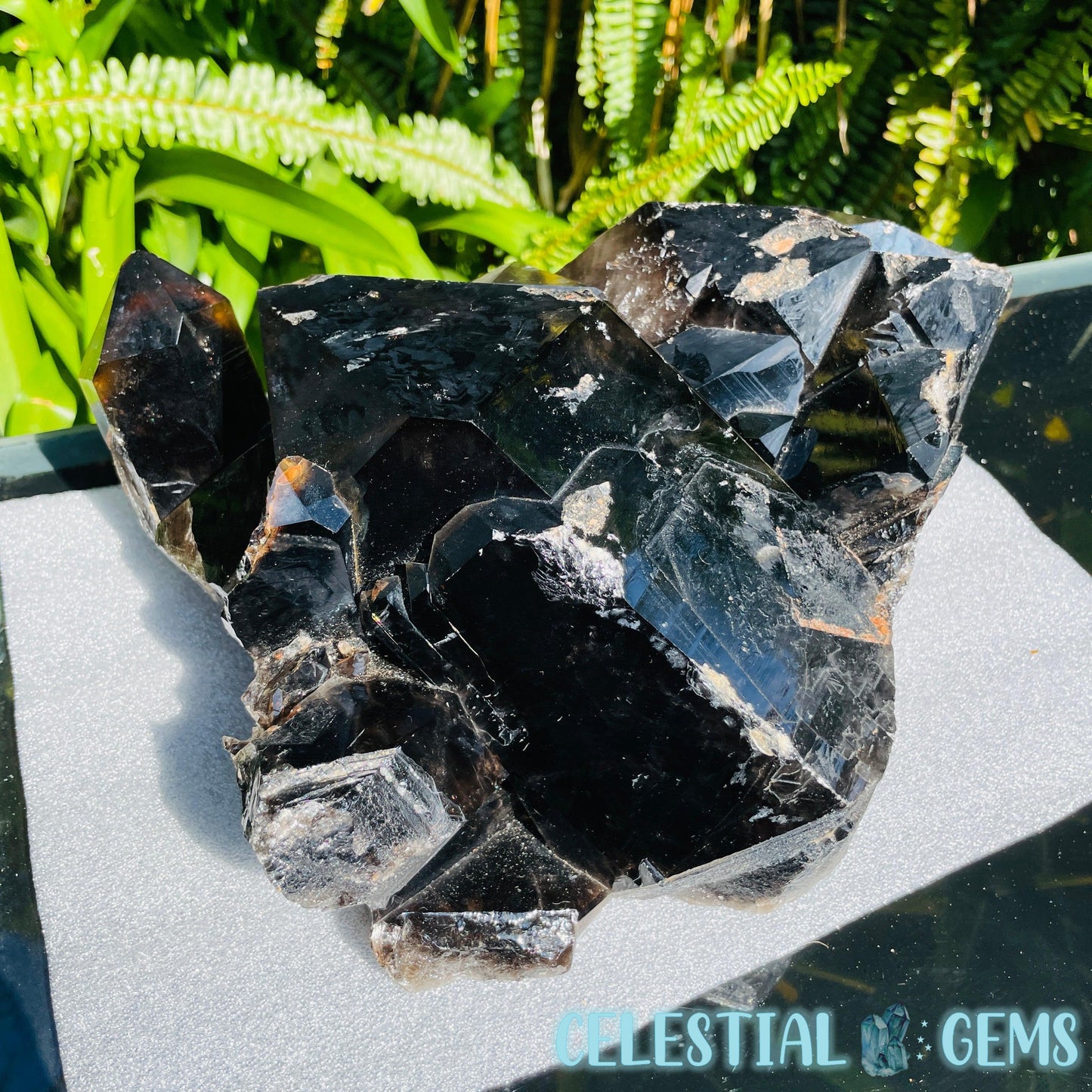 Black Smoky Quartz XL Cluster