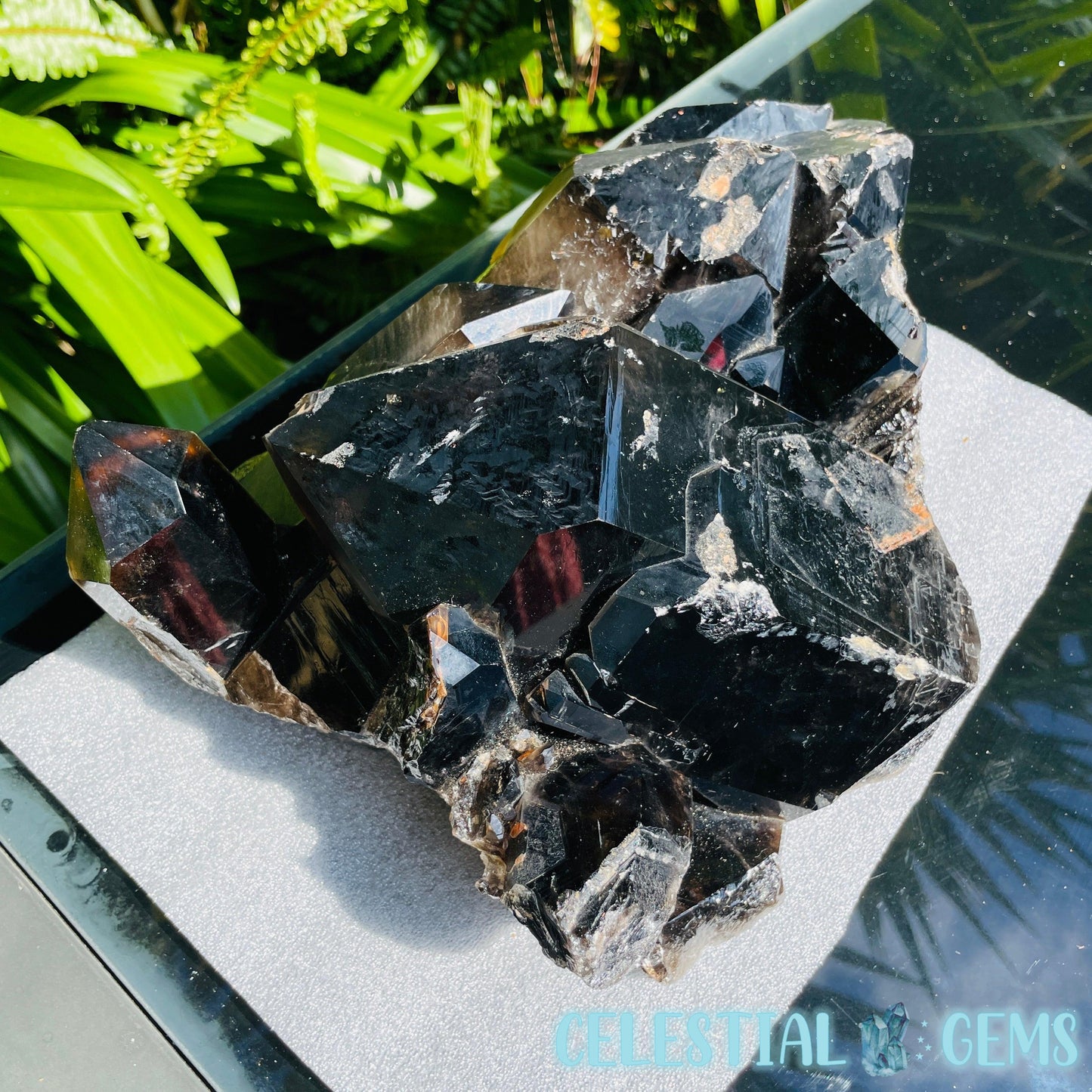 Black Smoky Quartz XL Cluster