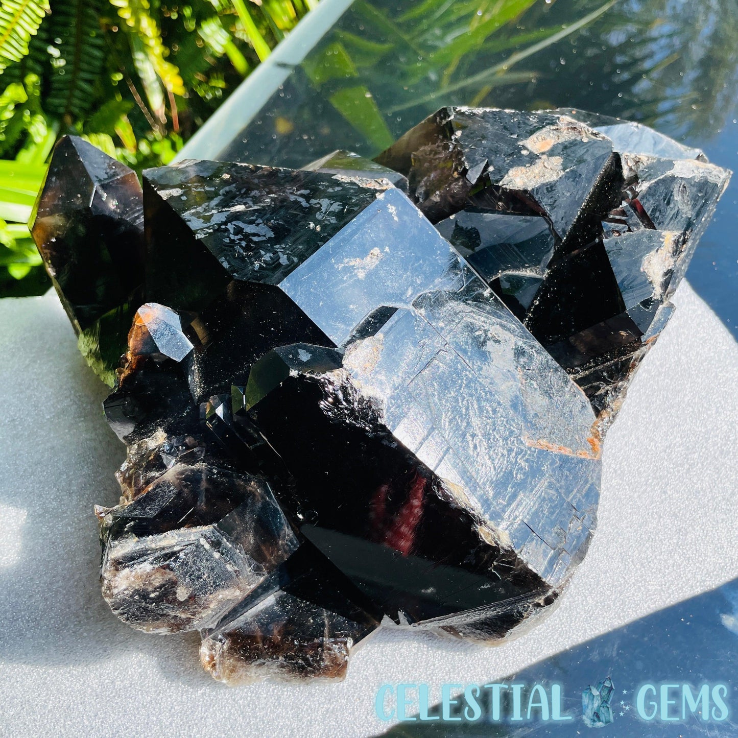 Black Smoky Quartz XL Cluster