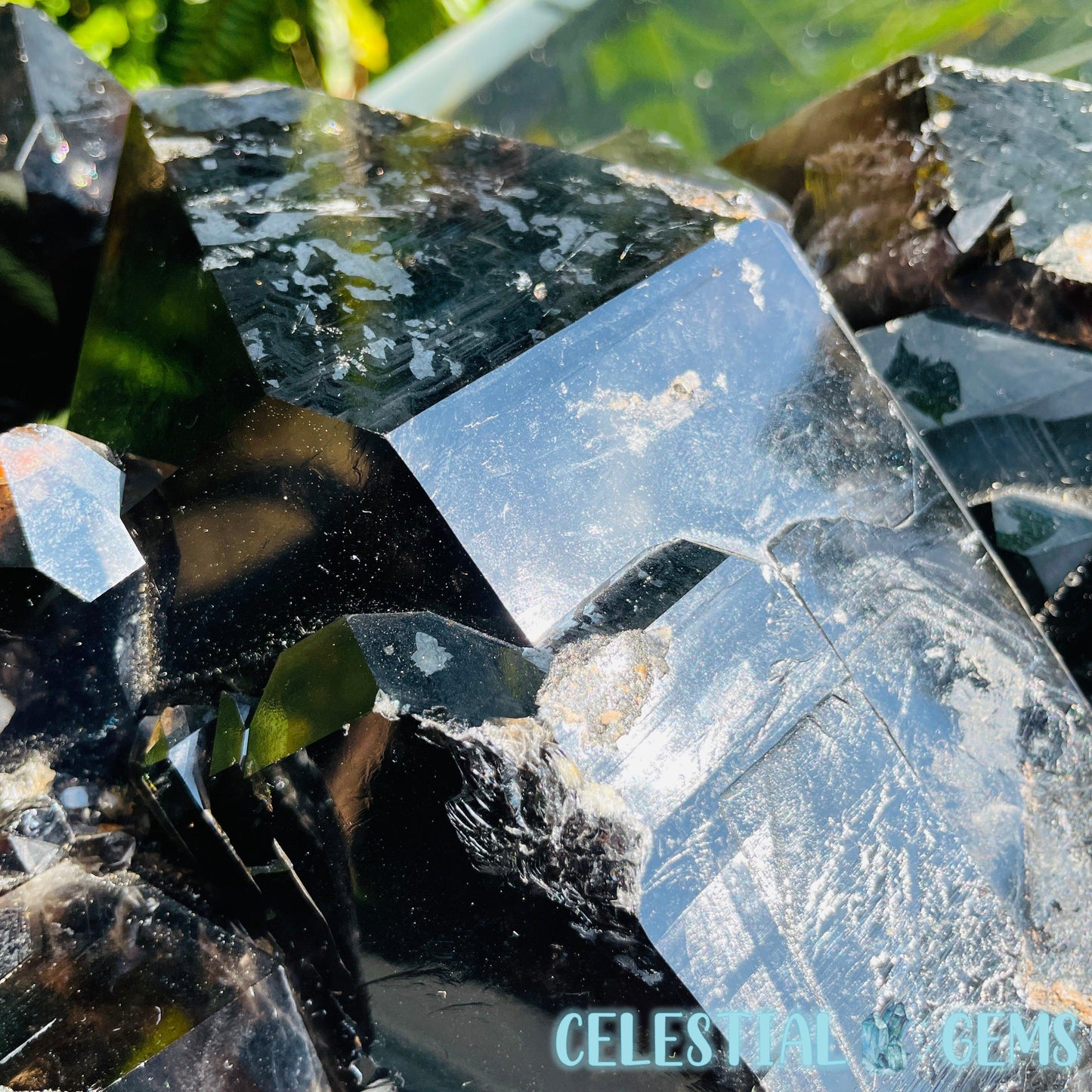 Black Smoky Quartz XL Cluster