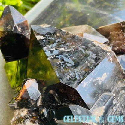 Black Smoky Quartz XL Cluster