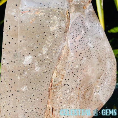 Rare Specular Hematite in Quartz XXL Semi-Polished Natural Point with Elestial Growth