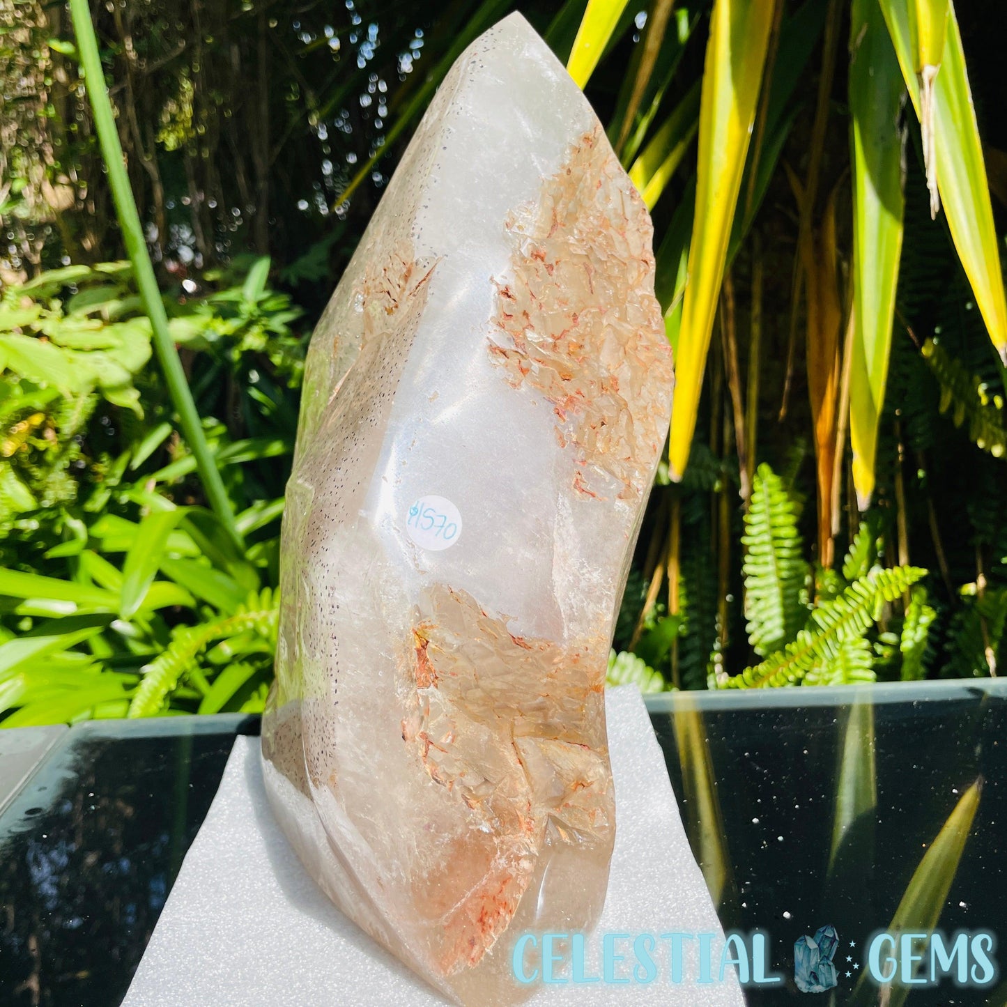 Rare Specular Hematite in Quartz XXL Semi-Polished Natural Point with Elestial Growth