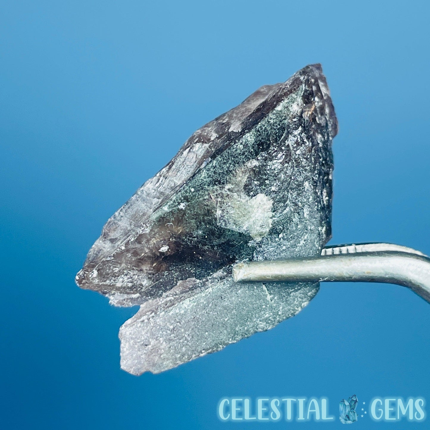 Rare Axinite Shard Gemstone Specimen with Pleochroism (Video)