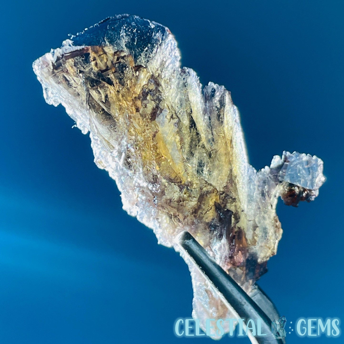 Rare Axinite Shard Gemstone Specimen with Pleochroism (Video)