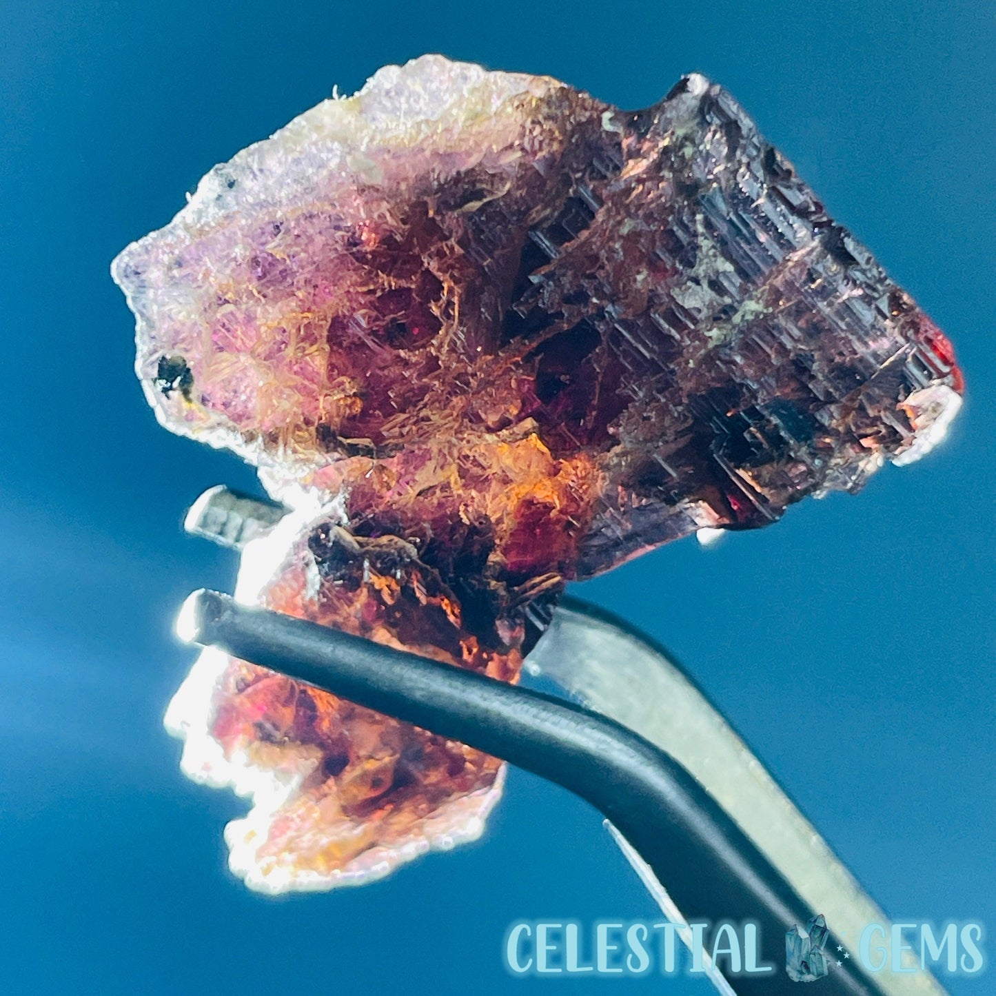 Rare Axinite Shard Gemstone Specimen with Pleochroism (Video)