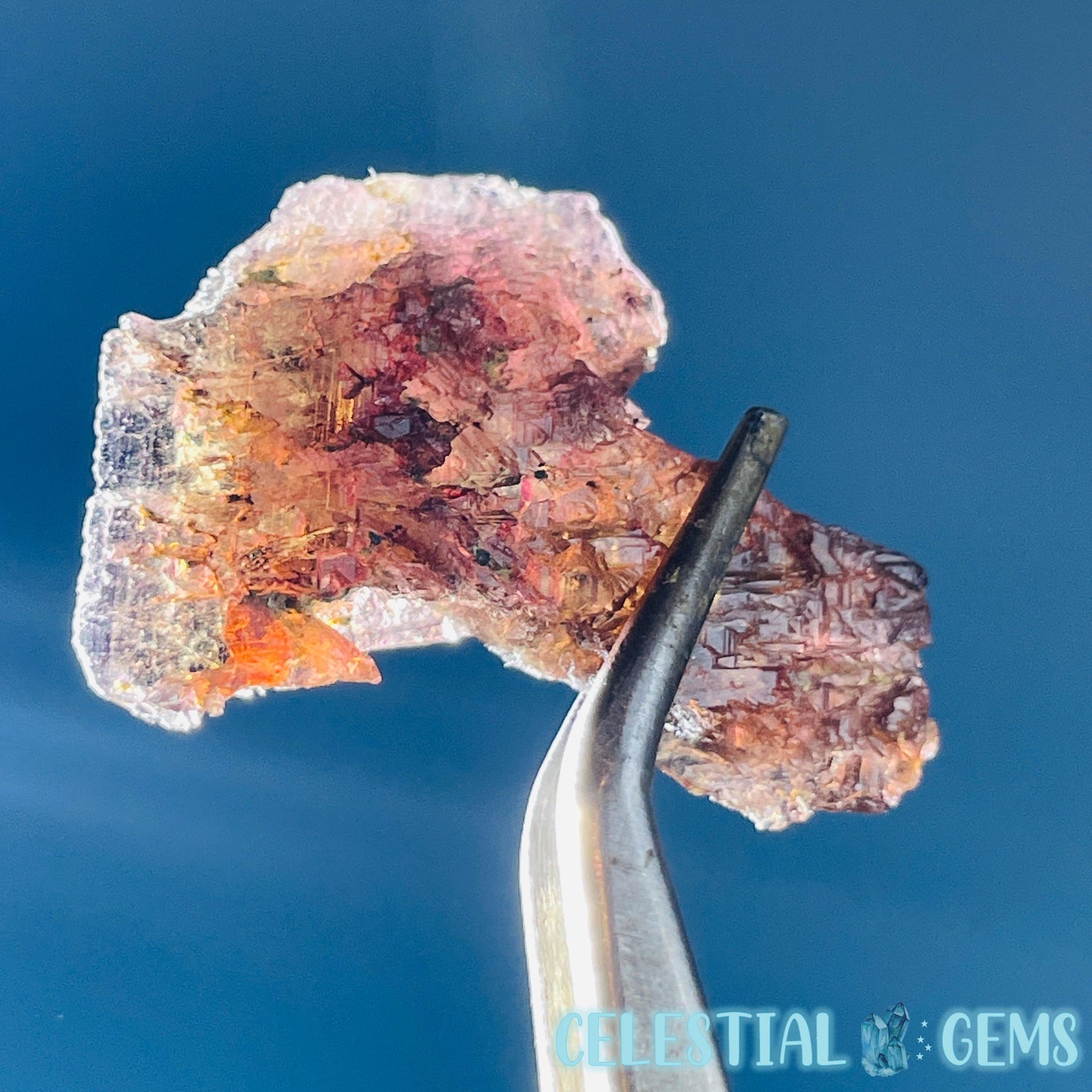 Rare Axinite Shard Gemstone Specimen with Pleochroism (Video)