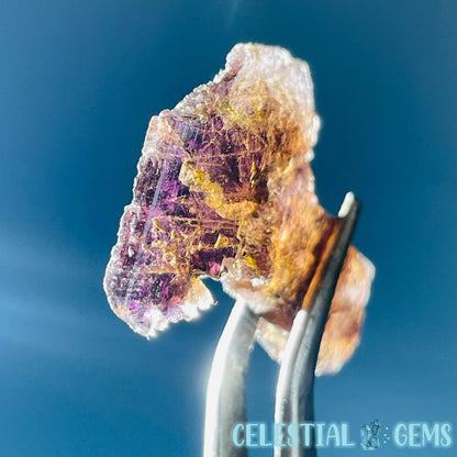 Rare Axinite Shard Gemstone Specimen with Pleochroism (Video)