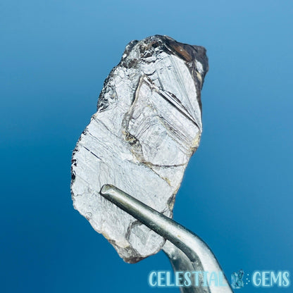 Rare Axinite Shard Gemstone Specimen with Pleochroism (Video)